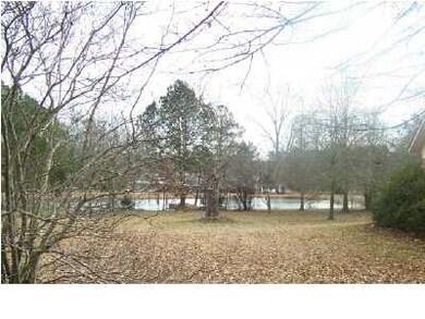 Stocked Pond with Catfish & Bream.