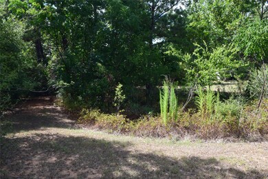 35210 Free Ln, Pinehurst, TX 77362 - photo 5