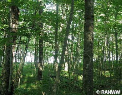 Lot 14 Spotted Fawn Dr, Jackson, WI 54830 - photo 5