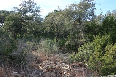 8727 Terra Mont Way, San Antonio, TX 78255 - photo 7