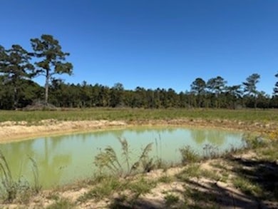 701 Barnes Rd, Pike Road, AL 36064 - photo 4