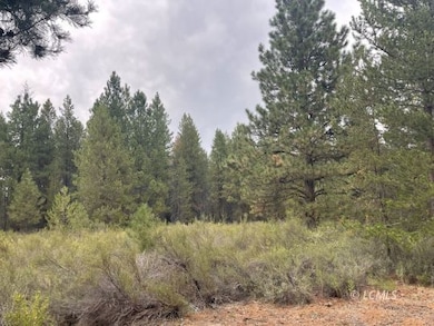 0 Oregon 140, Klamath Falls, OR 97601 - photo 3