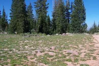 1002 E Ridge Top Dr unit CBMHS unit B b-B lot, Brian Head, UT 84719 - photo 4