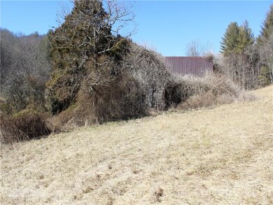 00 Will Anglin Rd, Price Creek, NC 28714 - photo 4