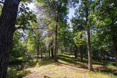 0 Alpine Cir, Breezy Point, MN 56472 - photo 4