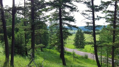 148 Walking Coyote Dr, Kalispell, MT 59901 - photo 4