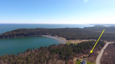 DJI_0505