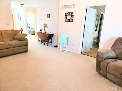 72 Green Park Ln unit 28B, O Fallon, MO 63366 - photo 7