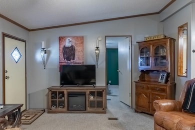 57 U S 63, Ravenden, AR 72459 - photo 5