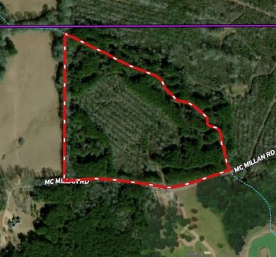 . Mcmillan Rd, Osyka, MS 39657 - photo 5