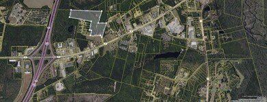 0 Carolette Ct unit 25018651, Walterboro, SC 29488 - photo 3