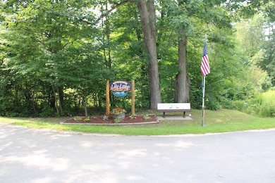 Parcel A-3 W Lily Lake Rd, Harrison, MI 48625 - photo 3