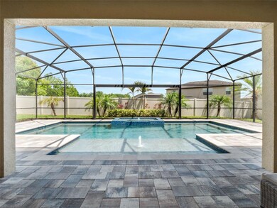 dream back yard
