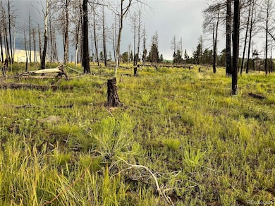 LOT 591 Leslie Loop, Fort Garland, CO 81133 - photo 3