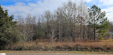 288 Willingham Rd, Belton, SC 29627 - photo 2