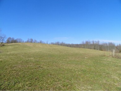 TBD Old Baxter Rd, Fall Branch, TN 37656 - photo 3