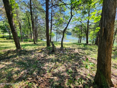 0 E Shore Dr unit 1313023, Rockwood, TN 37854 - photo 7