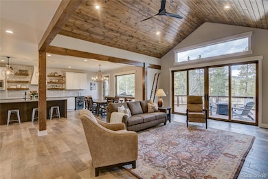 30430 Harvard Cir, Buena Vista, CO 81211 - photo 7