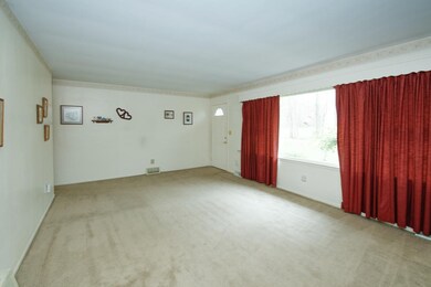 65008 White Pine-107