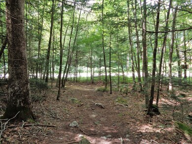 40 Glendale Rd, Fiskdale, MA 01518 - photo 6