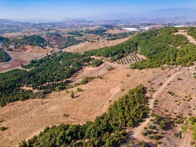 30183 Ridge Creek Rd, Valley Center, CA 92082 - photo 6