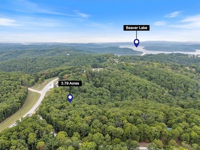 402-00001-000 TBD Highway 187, Busch, AR 72631 - photo 6