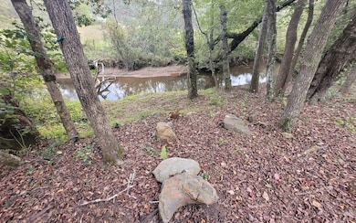 Additional View