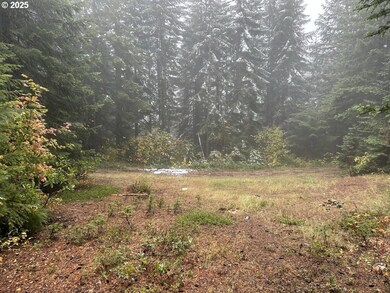 0 Calapooia Rd unit 498469836, Sweethome, OR 97386 - photo 2