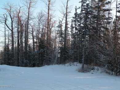 1415 N Double B St, Wasilla, AK 99654 - photo 3