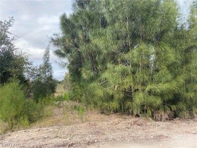 23425 Tinas Ln, Fort Myers, FL 33913 - photo 3