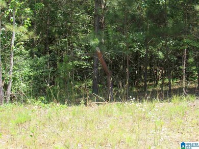 0 County Road 329 unit 8.41 1289420, Wedowee, AL 36278 - photo 6