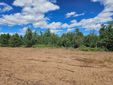TBD N Greenwood - 3 Dr, Ishpeming, MI 49849 - photo 4
