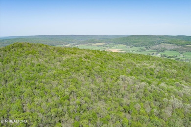 06-Firetower Rd Sparta