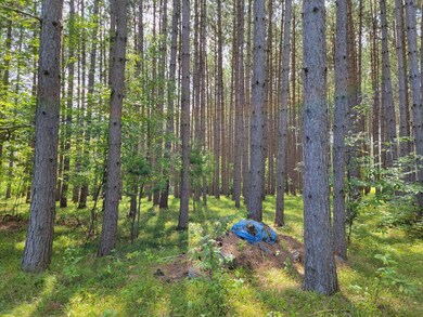 N8844 Walleye Way, Tomahawk, WI 54487 - photo 7