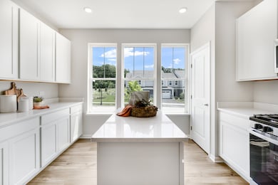 1266 Glenmont St, Algonquin, IL 60102 - photo 3