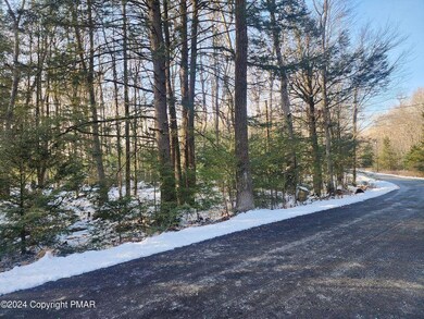 0 Yellow Run Rd unit 752474, Penn Forest Township, PA 18229 - photo 4