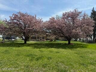 IMG_7016