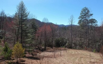 Additional View