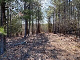 278 clearing