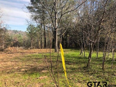 13149 Fm 848, Whitehouse, TX 75791 - photo 6