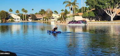 Comes with Kayak