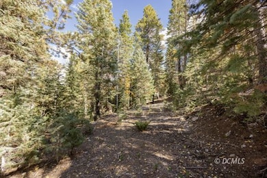 1815 E Beech Craft Dr, Duck Creek Village, UT 84762 - photo 6