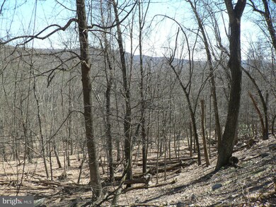 37 ACS Greenwalt Gap, Upper Tract, WV 26866 - photo 2
