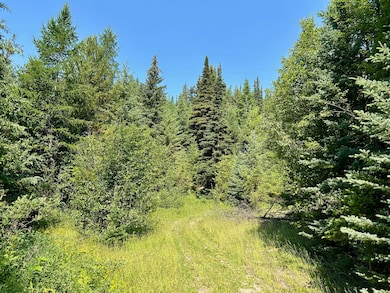 Nhn McMannamy Draw, Kalispell, MT 59901 - photo 2