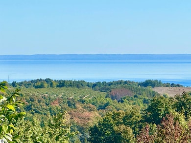 Parcel C E Duck Lake Rd, Suttons Bay, MI 49682 - photo 5