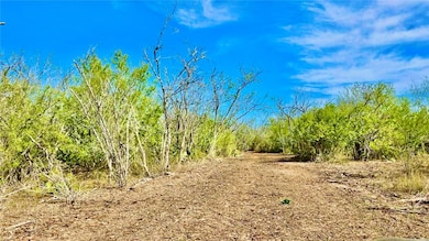 0 0 County Road 107 unit 468634, Runge, TX 78151 - photo 4