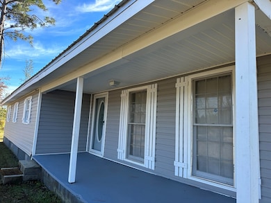 41 W Georgia Ave, Denton, GA 31532 - photo 2