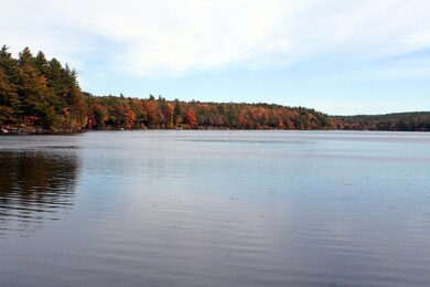 Wilson Lake