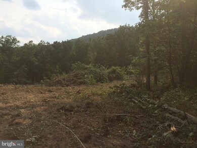 0 Hershel Ln unit 1000563629, Hedgesville, WV 25427 - photo 3