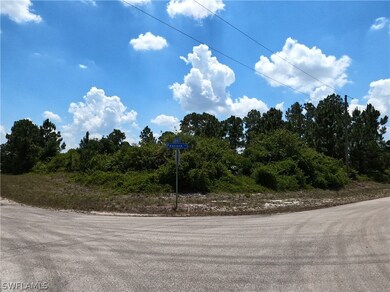 705 Peacock Ave, Lehigh Acres, FL 33974 - photo 4